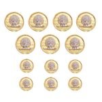 Mayo College Silver & Gold Plated Mayoor Buttons - Image 2