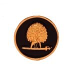 Mayo College Gold Plated Mayoor Buttons with Black Enamel