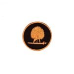 Mayo College Gold Plated Mayoor Buttons with Black Enamel - Image 5