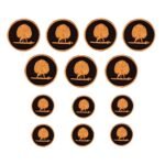 Mayo College Gold Plated Mayoor Buttons with Black Enamel - Image 4