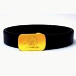 Mayo College Belt - Mayoor - Gold Plated - Image 4