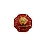 Majestic Octagon Mayoor Lapel Pin - Maroon - Image 2