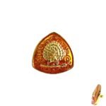 Imperial Plumage Mayoor Bandhgala Button - Saffron - Image 2