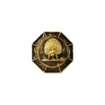 Majestic Octagon Mayoor Bandhgala Button - Smokey Enamel - Image 2