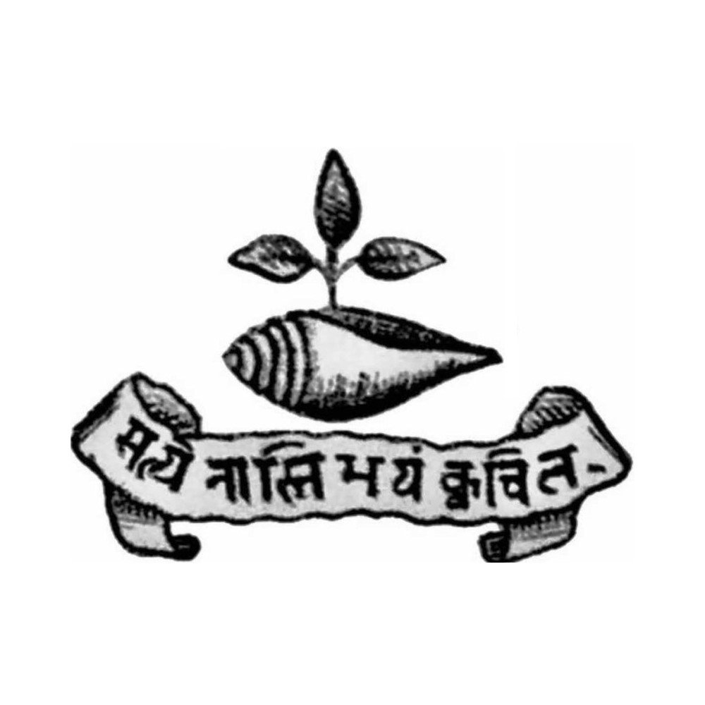 S1135LP.jpg Royal Lapel Pin - Jayal State - Image 1